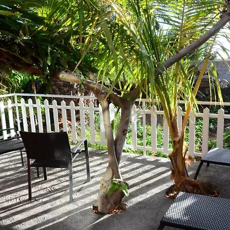 Casita La Palmera Ferienhaus Valle Gran Rey